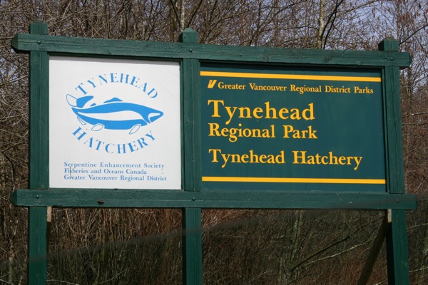 Tynehead sign.jpg